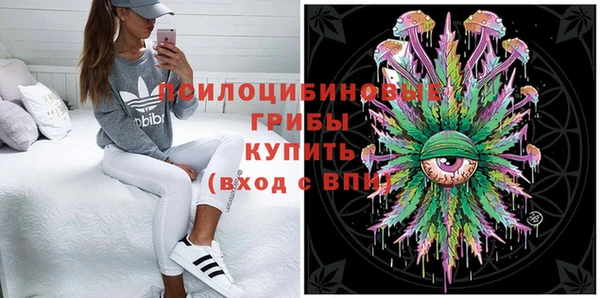 прущая мука Алзамай