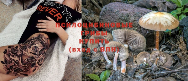 прущая мука Алзамай