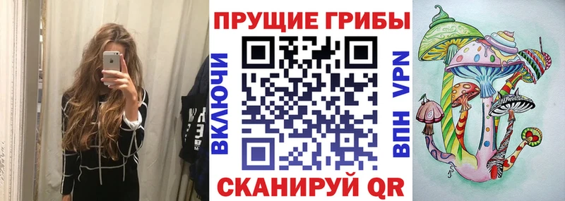 Купить  Верхняя Салда  Галлюциногенные грибы Psilocybe 